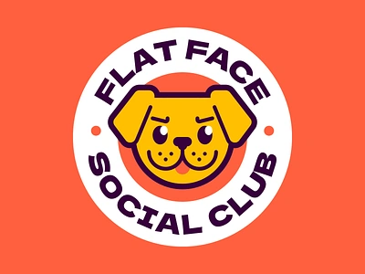 Flat Face SC boxer brussels griffon bulldog chato dog flatface french bulldog frenchie pekingese pug