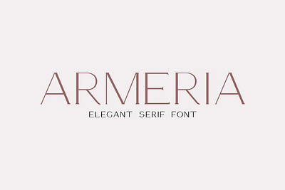 Armeria - serif font app branding design graphic design illustration logo typography ui ux vector
