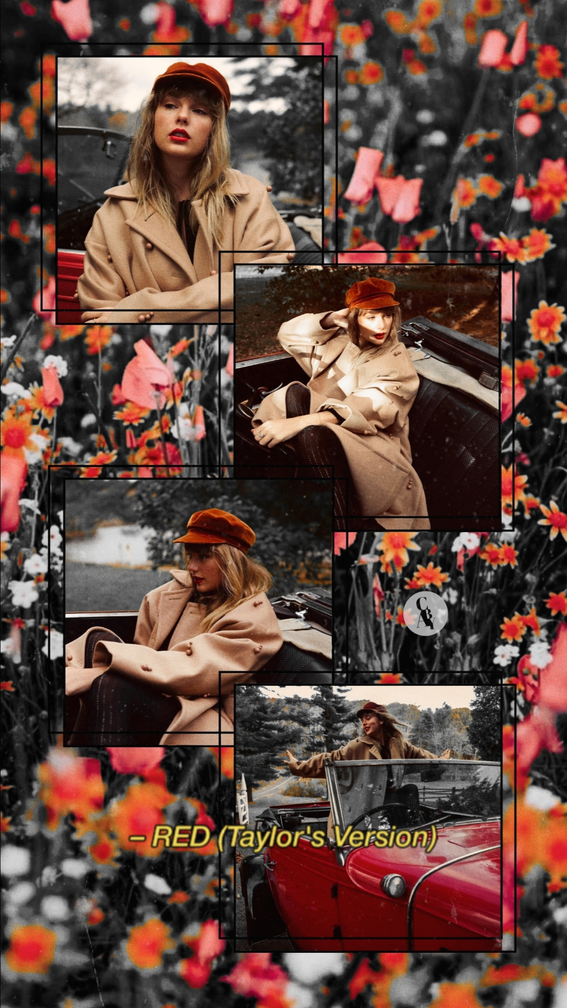 Red Roses Taylor's Version design graphic design