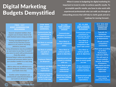 Digital Marketing Budgets graphic design