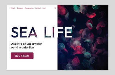 SEA LIFE branding landingpage desktop design ui