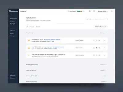 Insight Analytics Dashboard productdesign