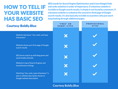 How to Tell If Your Website Has Basic SEO infographic