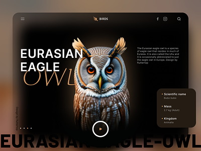 Moonlit Whispers: Unveil Night's Charm with Owl-Inspired Design animals bird bird icon bird illustration bird logo fluttertop hero hero area hero banner hero header hero image landing page marvel nature owl hero section owls super superhero uiux wildlife