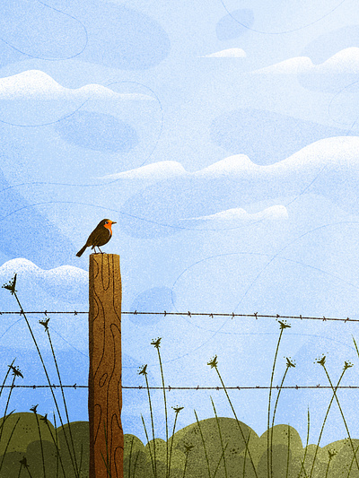 Robin Redbreast bird blue fence flat graphic design illustration nature photoshop robinredbreast sky summerfield texture