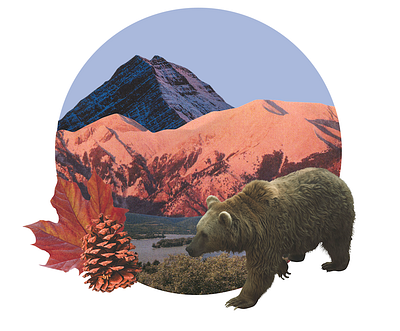 Rocky Mountain Bear art collage design