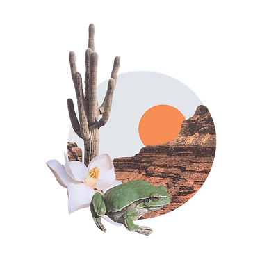 Cactus Frog art collage design