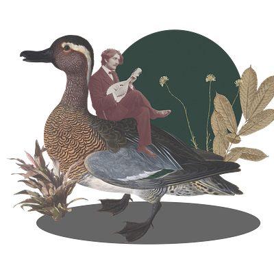 Duck Song art collage design