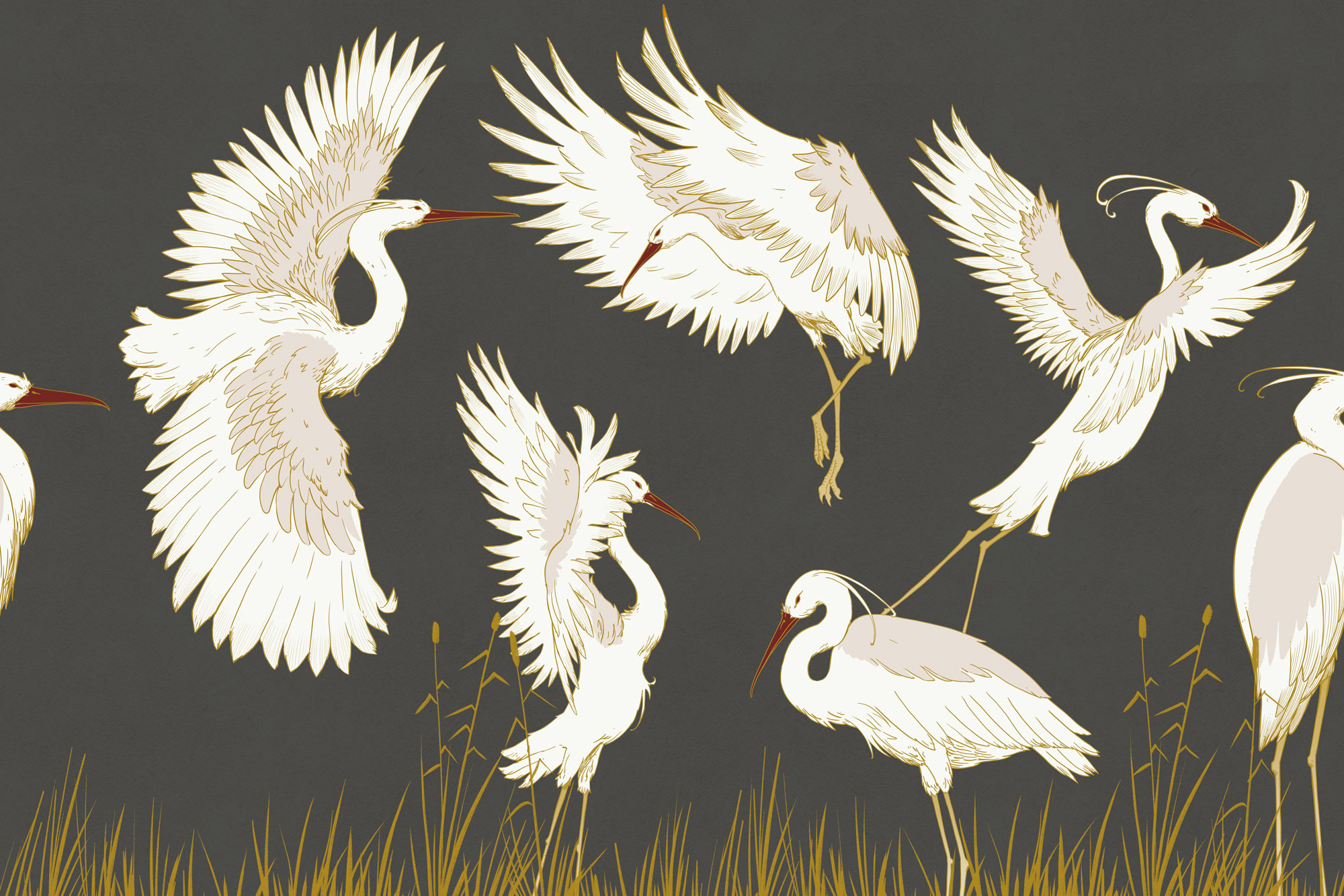 Sagi art design digital art graphic design illustration nature wallpaper