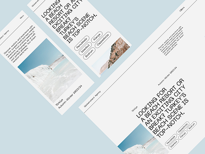 Website design concept for a travel agency. design desktopdesign figma mobileui ui uidesign userinterface webdesign