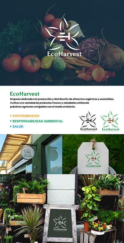 Nature Logo branding graphic design logo