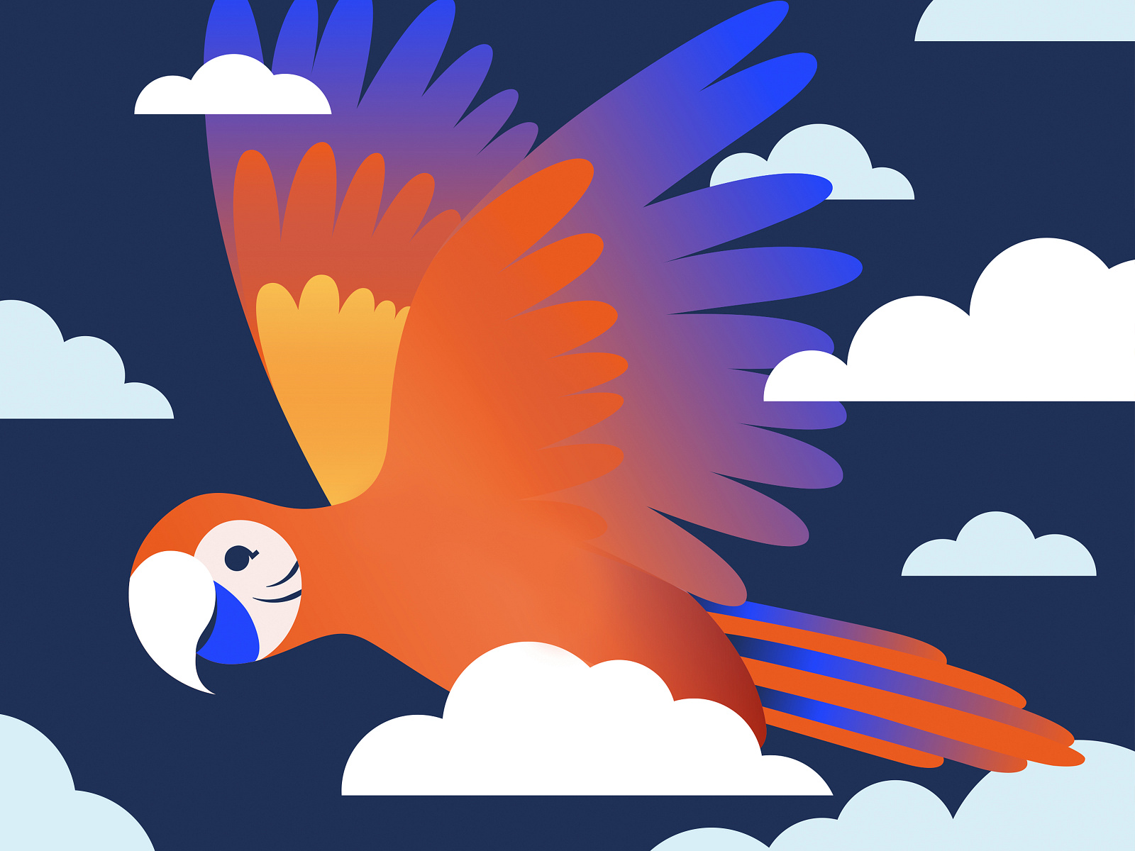 Colorful Parrot by Jessica Gaudin on Dribbble