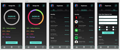 budgeting experience app design ui