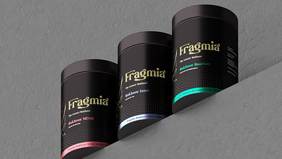 fragmia branding designs graphic design logo