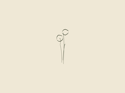 Brand Mark Concept For Stems Floristry Studio brand design brand direction brand identity brand mark branding florist graphic design illustration logo design logo development logo suite luxury branding minimalist modern modern design