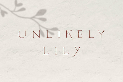 Unlikely Lily - A Hand-Drawn Serif app branding design graphic design illustration logo typography ui ux vector