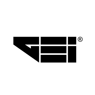GSI branding design graphic design logo typography vector