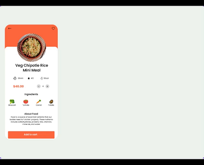 Food Delivery App animation ui