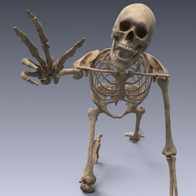 Human skeleton rigged 3d animation app branding design graphic design illustration logo motion graphics ui vector