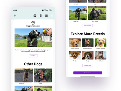 Email Marketing: Puppies Nation 🐾🐶✨ designinspiration dogdesign dribbbledesign emailmarketing emailtemplate explorebreeds graphic design petcompanions petlovers uiuxdesign