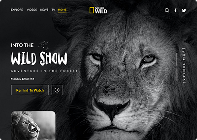 NAT GEO Redesign branding design graphic design logo ui