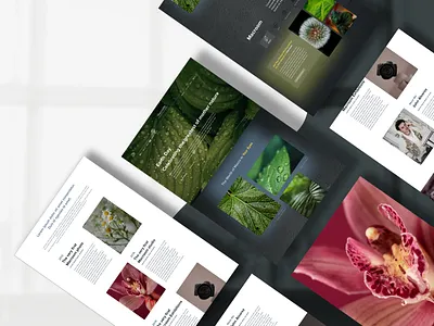 c adobe illustrator branding design graphic design illustration landing page landing page design logo manypixels ui ux vector web web design website website design