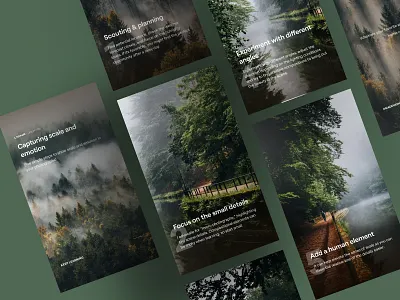 Instagram stories design design graphic design web design