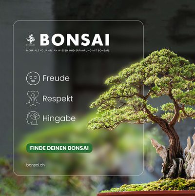 Bonsai | Paid Social Ad Creatives advertising branding design graphic design paid media paid socials
