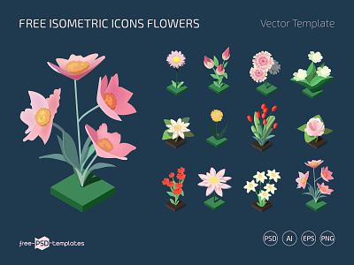 Free Isometric Flowers Icons (PSD, AI, EPS, PNG) flower flowers free freebie icon icons illustration illustrator isometric photoshop psd template templates vector