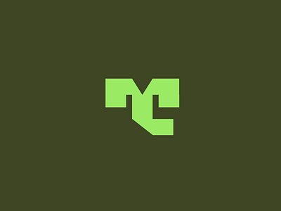 T logotype branding graphic design logo