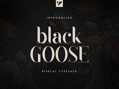 BLACK GOOSE - DISPLAY TYPEFACE black brand branding bundle creative design font illustration lettering logo summer ui