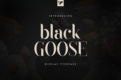 BLACK GOOSE - DISPLAY TYPEFACE black brand branding bundle creative design font illustration lettering logo summer ui