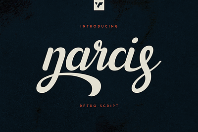 NARCIS - RETRO SCRIPT brand branding bundle creative design font illustration lettering logo ui
