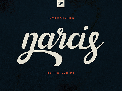 NARCIS - RETRO SCRIPT brand branding bundle creative design font illustration lettering logo ui