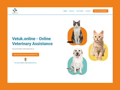 online veterinary clinic website figma graphic design ui ux website