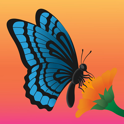 Transform ✨🦋🌼✨ branding design digital illustration flat graphic design illustration logo vector
