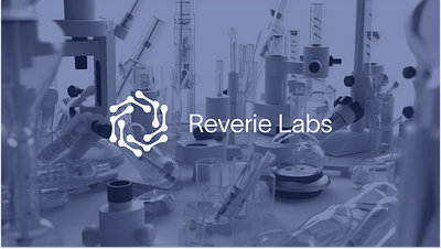 Reverie Labs branding design figma graphic design logo webflow website
