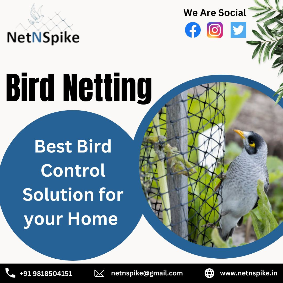 Effective Bird Netting Solutions for Your Property by Net N Spike on