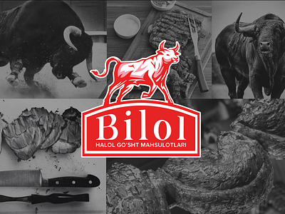 Bilol — logo and identity design