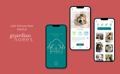 Pet Adoption App app design graphic design illustration ui ux web design