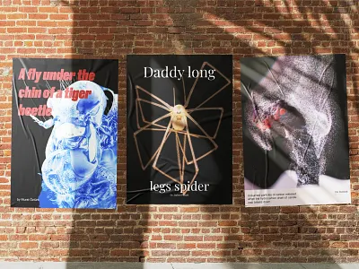 Poster work design graphic design poster typography