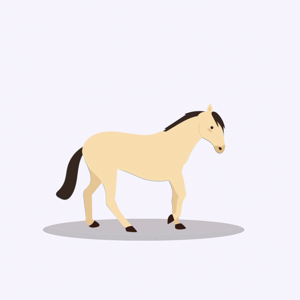 Horse after effects animation character animation motion graphics puppet tool