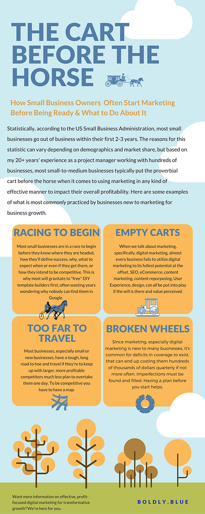 Cart Before the Horse Infographic graphic design