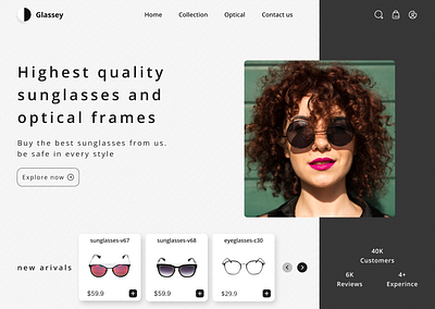 Sunglasses Web Header