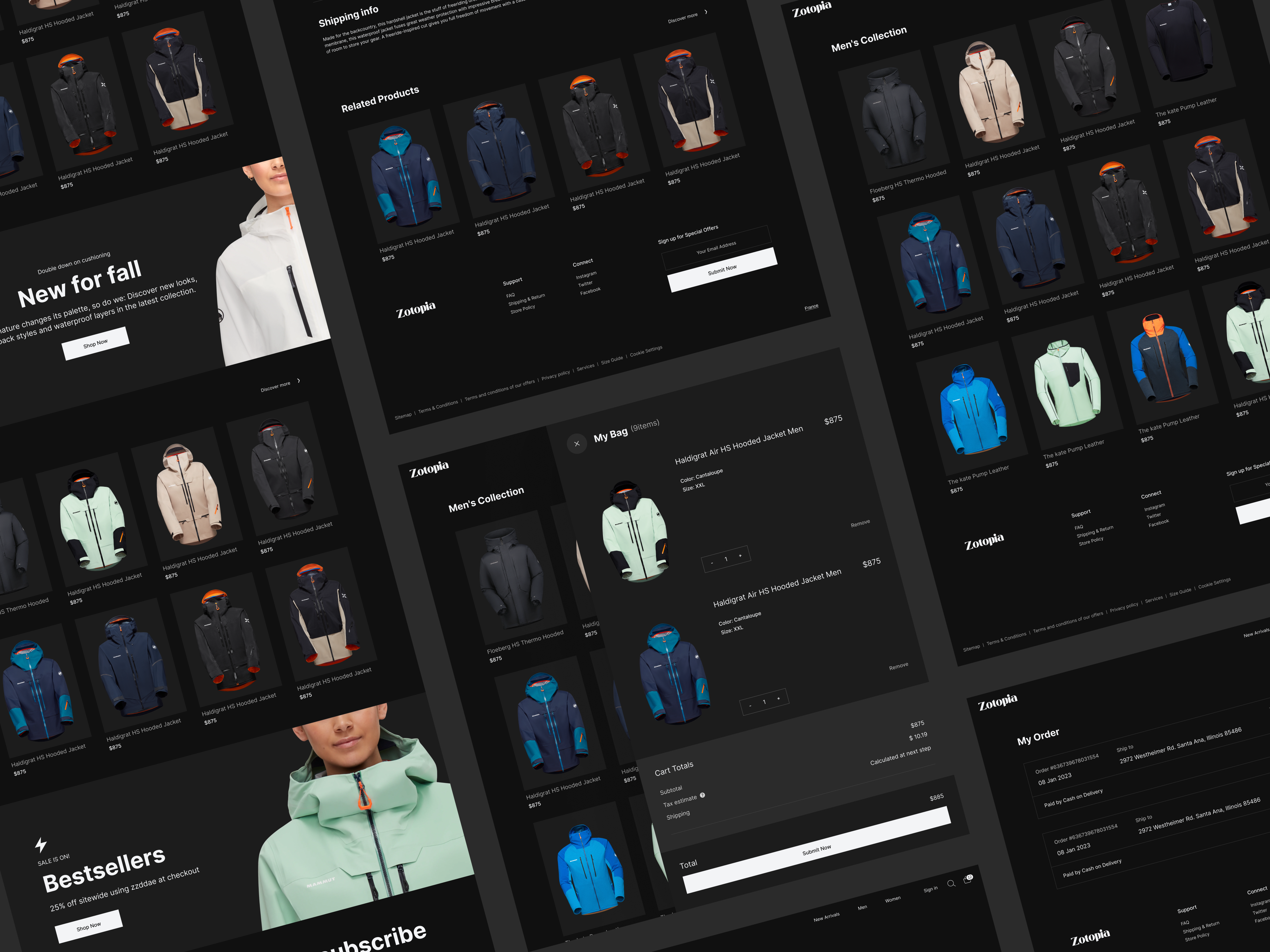 Example of Web Design And Development