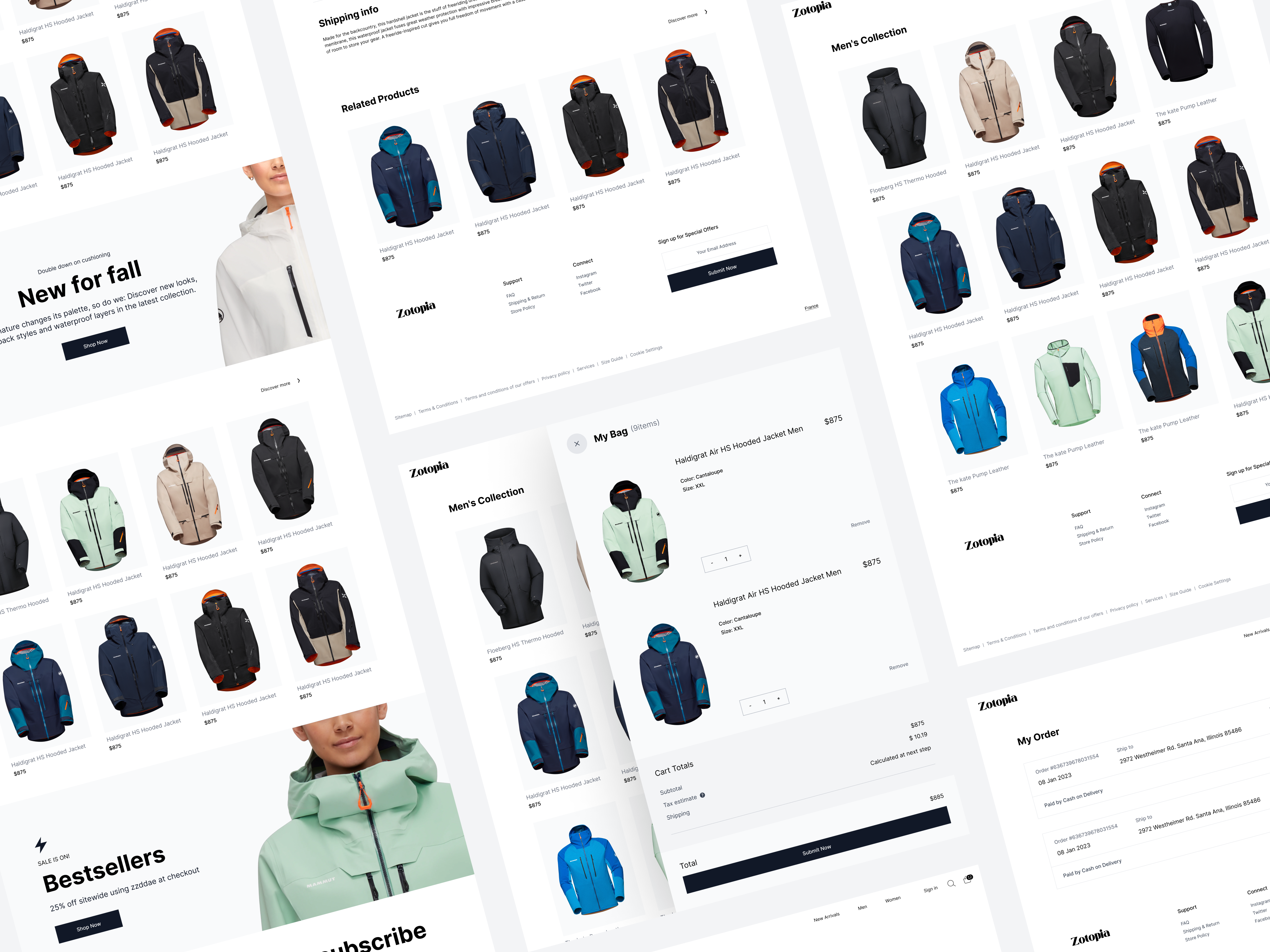 Example of Web Design And Development