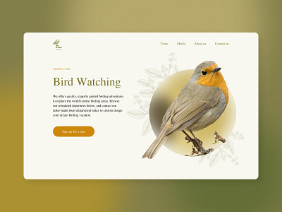 Design concept of the first page birdwatching design homepage landing ui ux