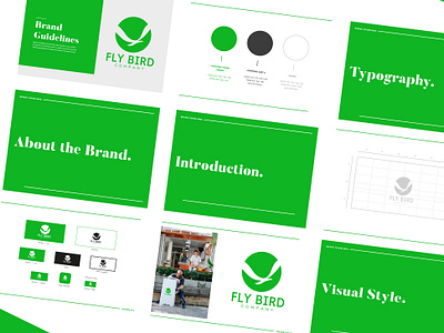 Concept: FlyBird Company Logo Design (FOR SALE) brand identity branding design for sale graphic design illustration letter logo logo messi neymer saudi top trend typography ui uk usa ux vector visual identity