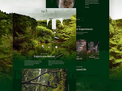 Trout Nature Center - Landing Page forest graphic design green lake landing landing page minimal mountains ui uiux user interface ux web web design webpage website website design