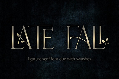 Late Fall - floral font duo app branding design graphic design illustration logo typography ui ux vector